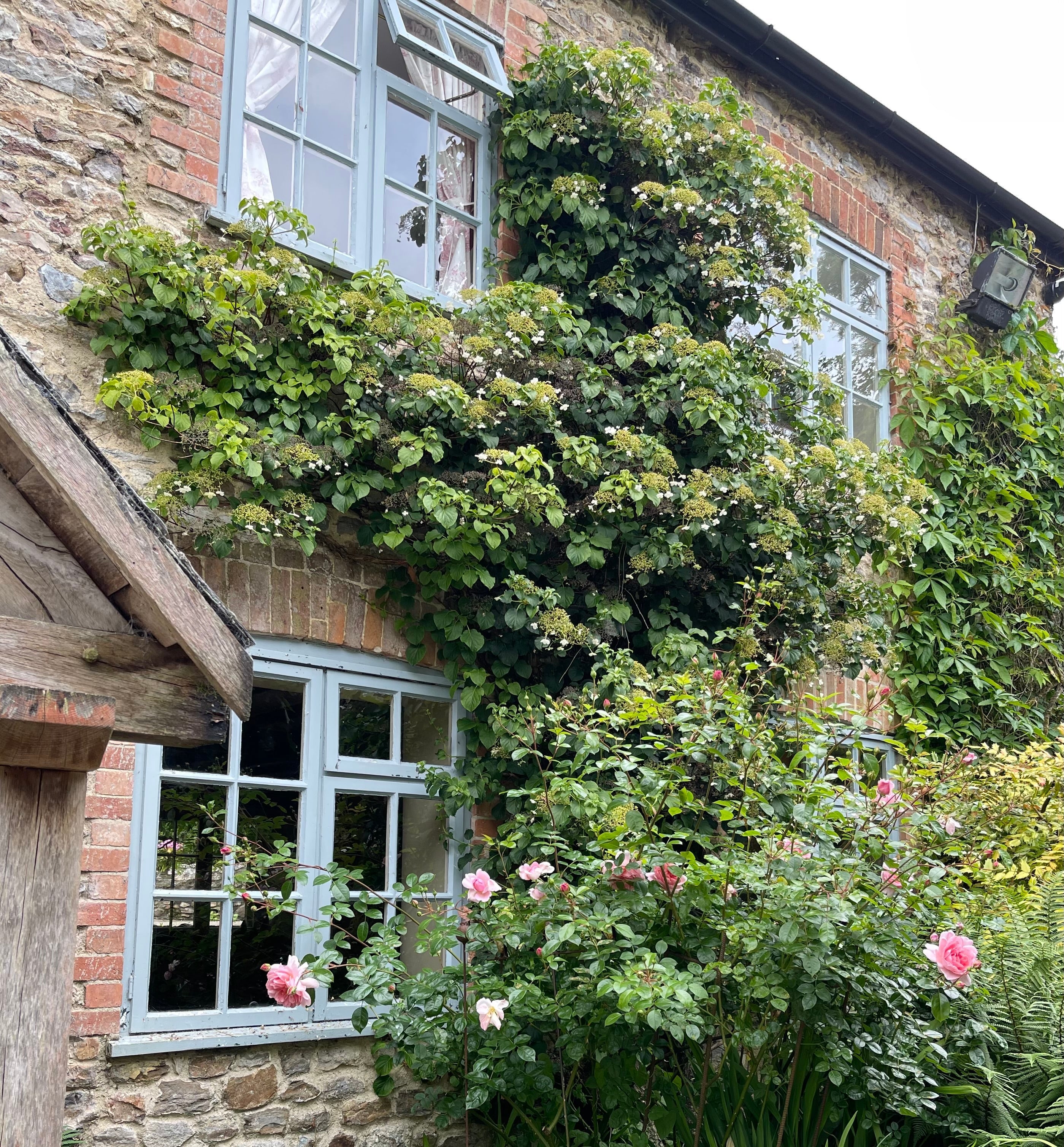 Enchanted by the English Countryside