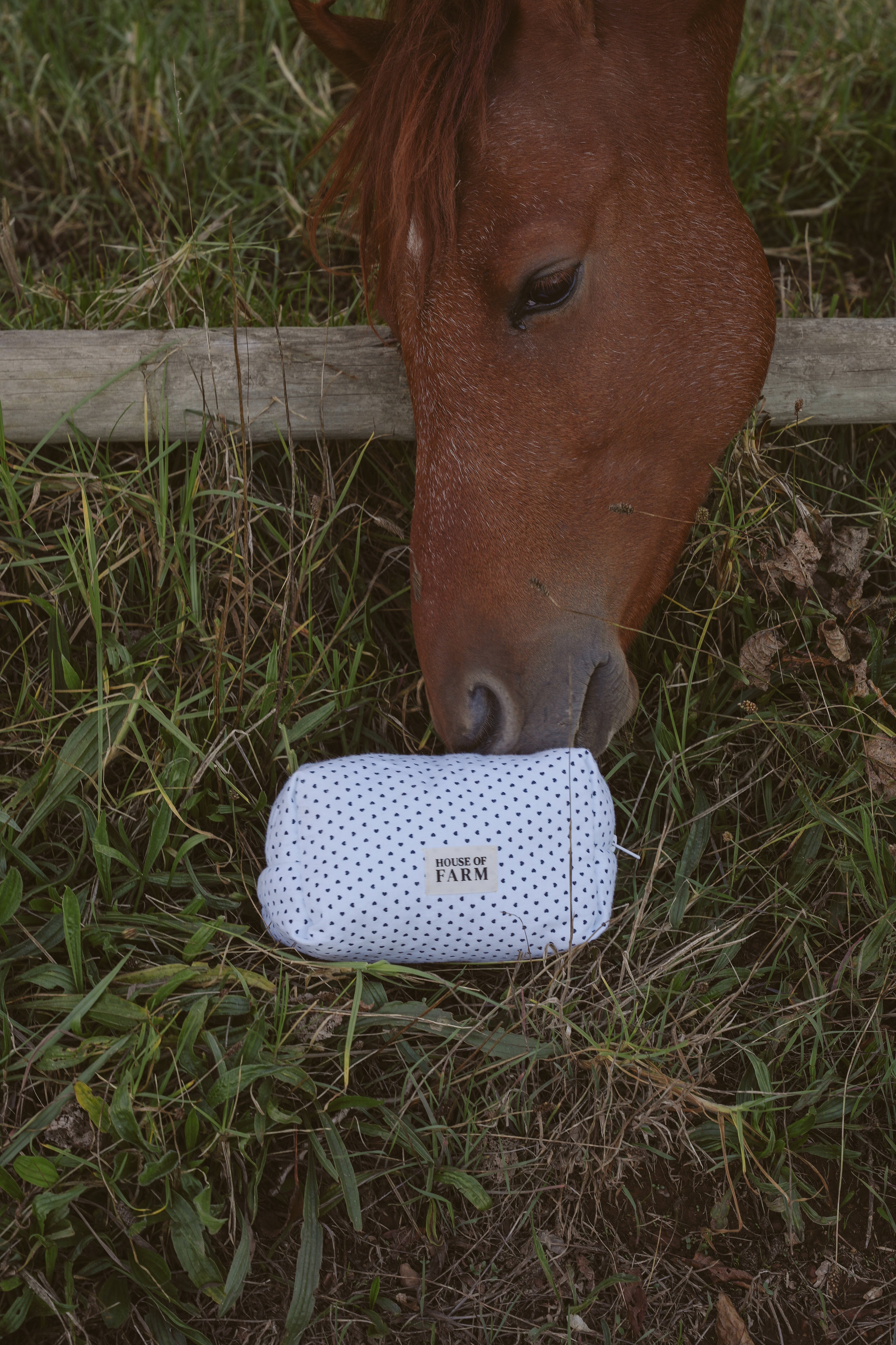 Makeup Pouch - Dairy Spots